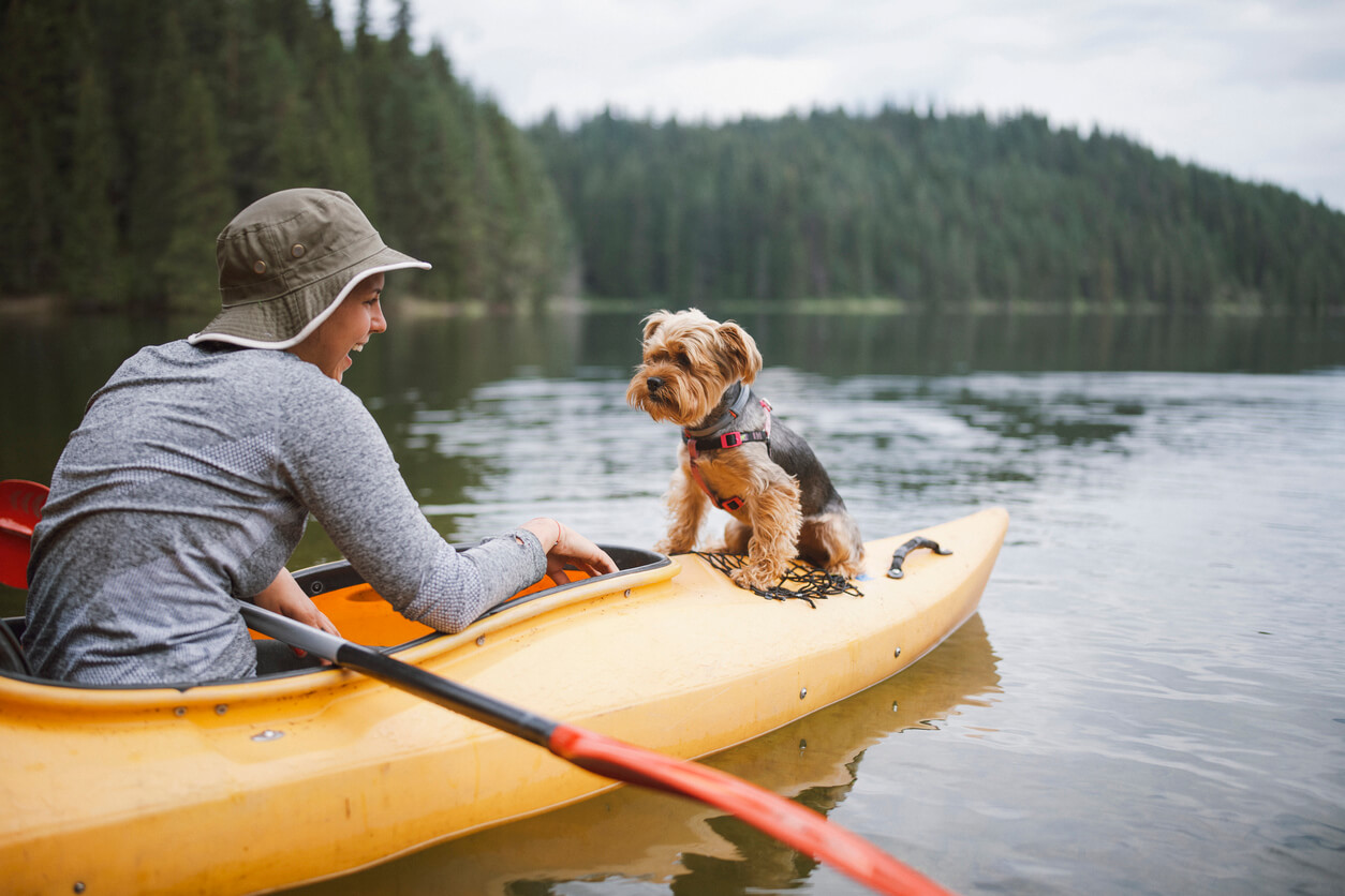 The ultimate guide to kayaking with your dog